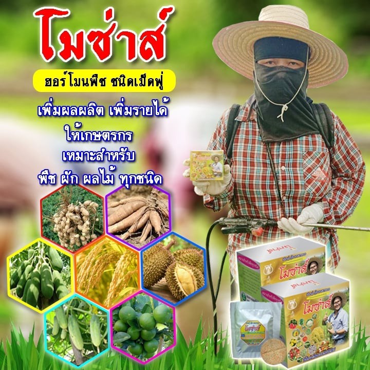 โมซ่าส์ อะมิโนจำเป็น ชนิดเม็ดฟู่