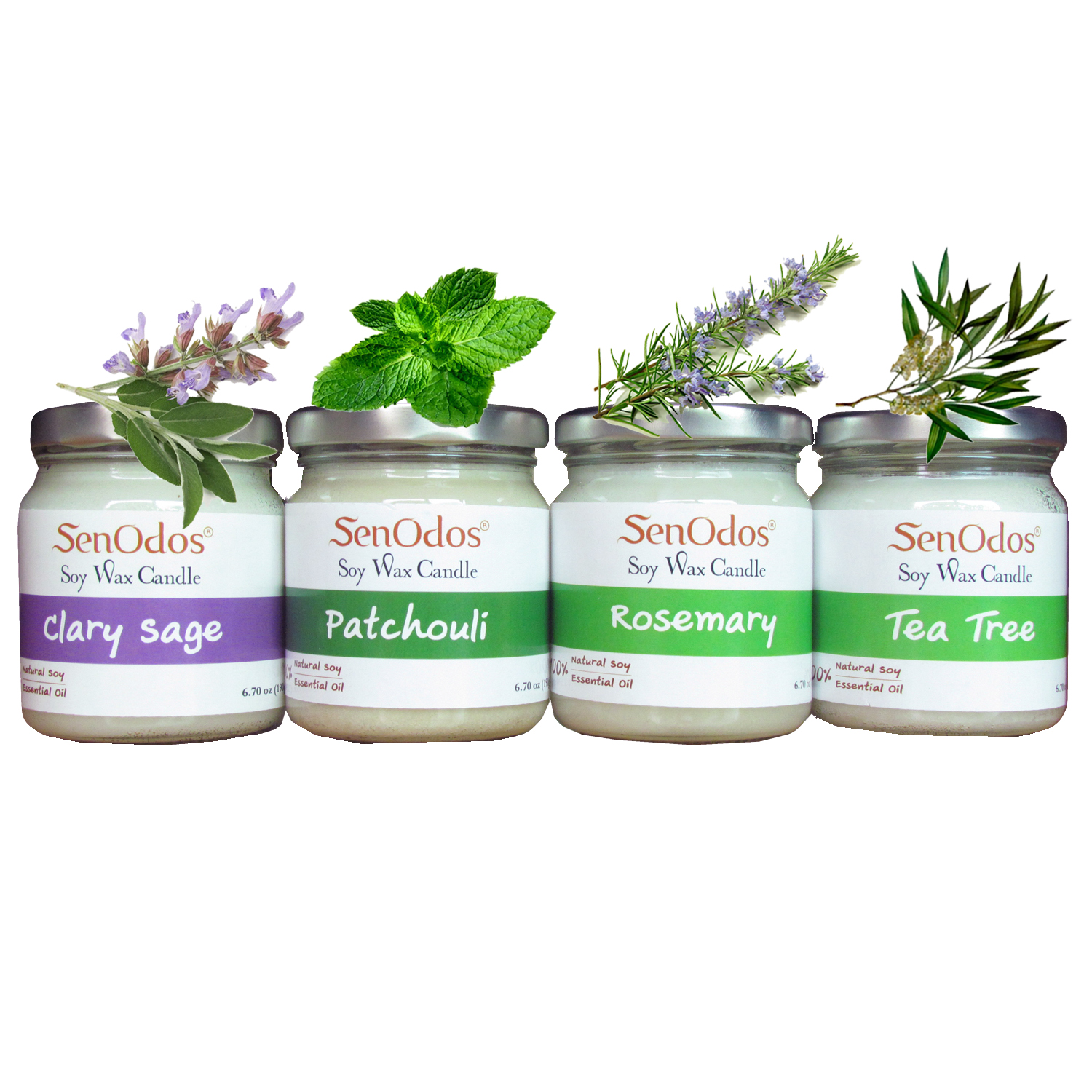 SenOdosเทียนหอมอโรม่า เทียนหอมสปา กลิ่นกลิ่นหอมดื่มด่ำธรรมชาติ Earthly Passion Big Set - Soy Candles ขนาดใหญ่190g x 4กลิ่น(แครี่เสจ,แพทชูลี่,โรสแมรี่และทีทรีออยล์)