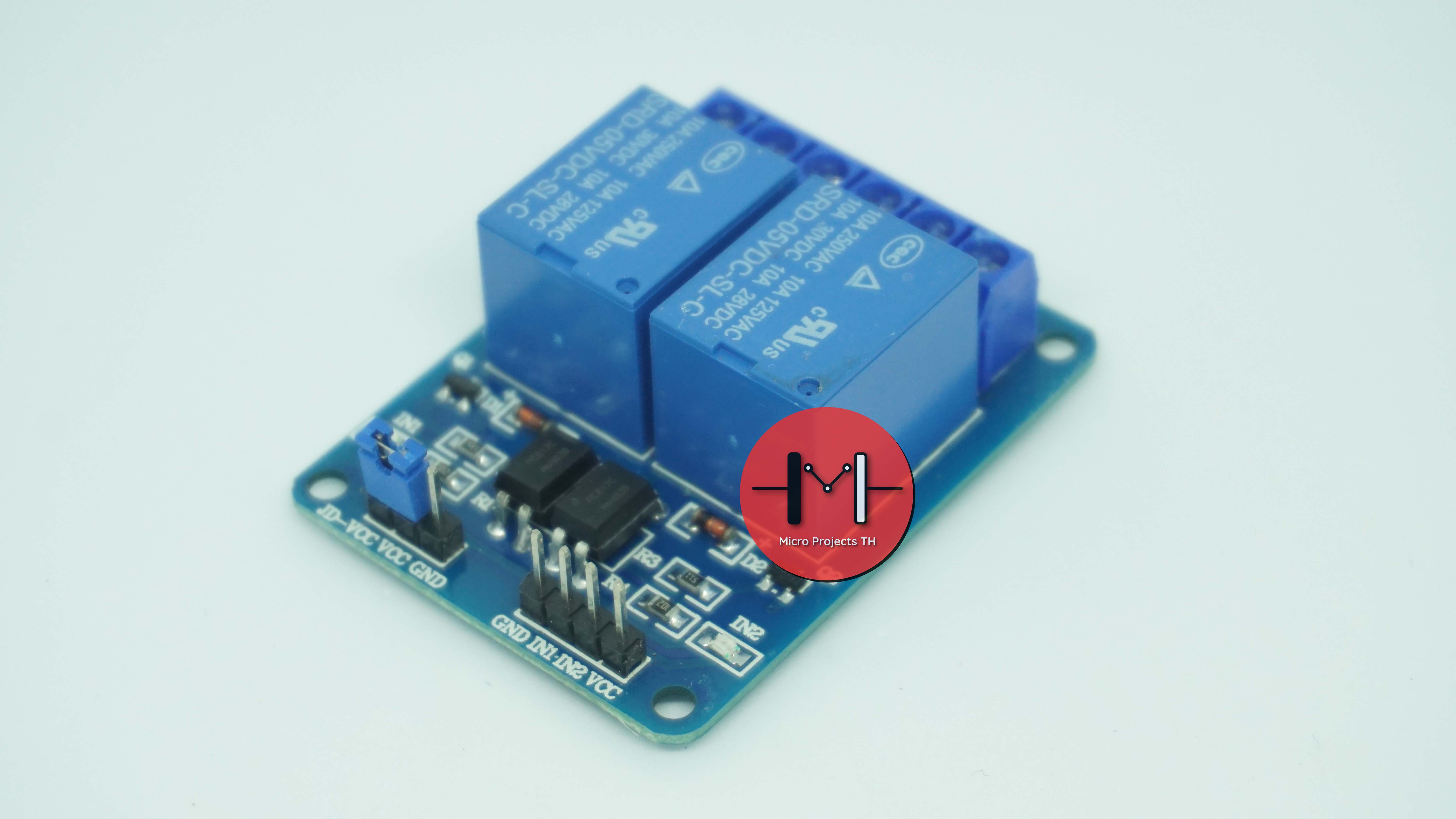 Module Relay 2 Channel 5V 250V/10A
