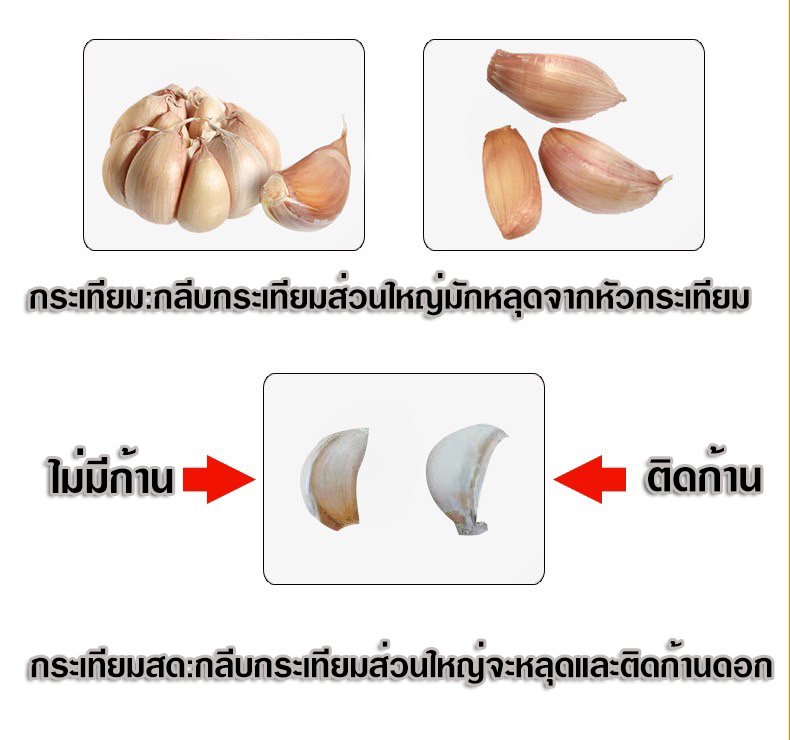 เพื่อการปอกได้ดี ควรนำไปตากแดด หรือ อบ ก่อนนำไปปอก และตัดขั่วของกรีบกระเทียม จะทำให้การปอกได้ผลมากกว่า 80 % ขึ้นไป