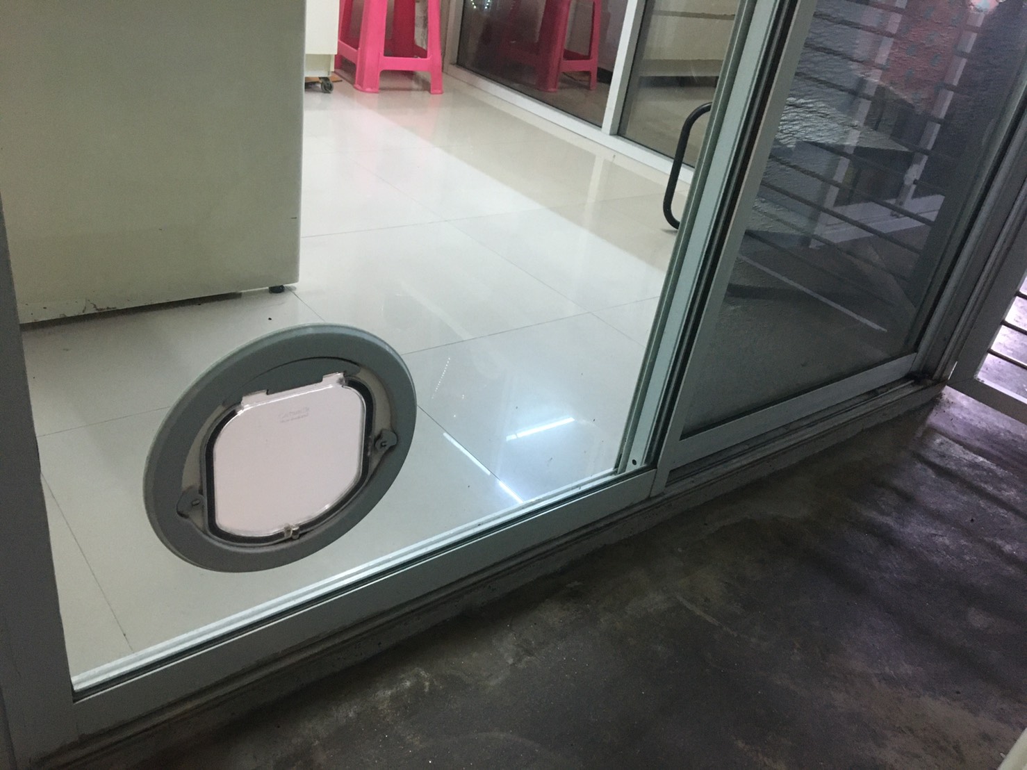 ประตูแมวติดกระจก