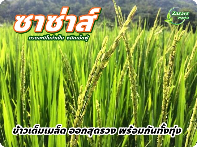 ซาซ่าส์ อะมิโนเข้มข้น ชนิดเม็ดฟู่