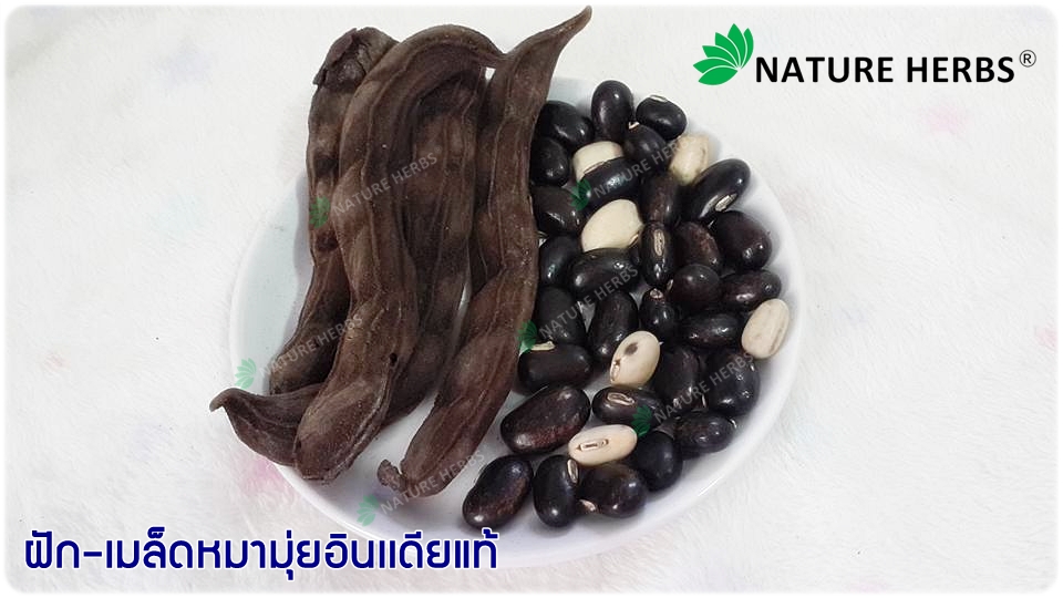 หมามุ่ยอินเดียผง 100 กรัม