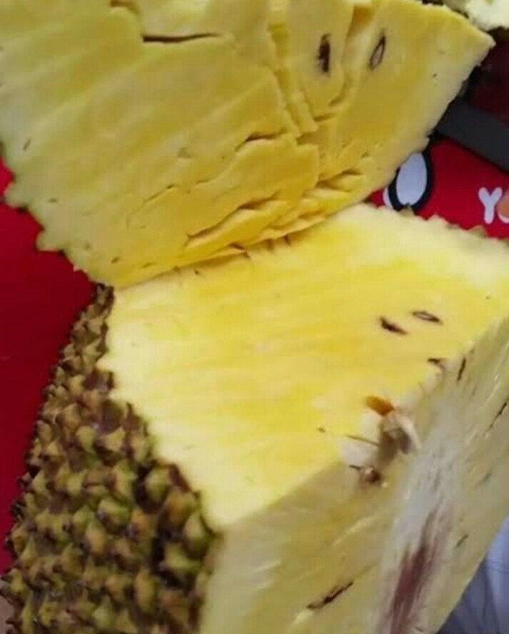 ต้นขนุนไร้เมล็ดเพชรน้ำผึ้ง