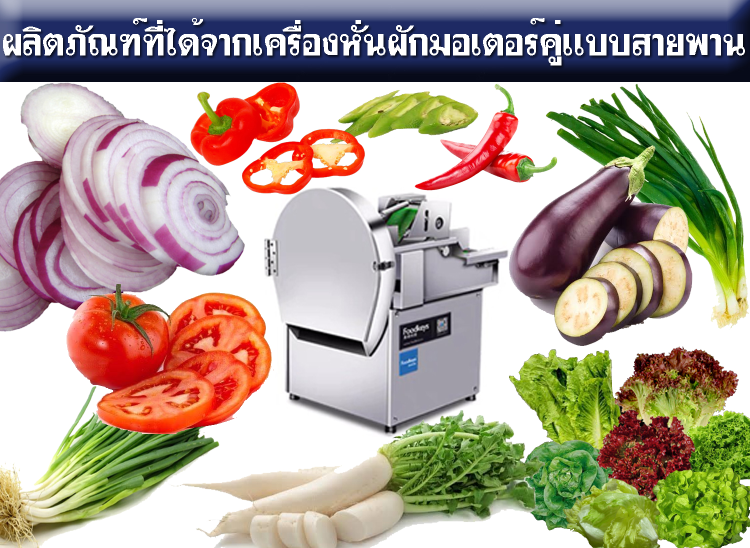 เครื่องซอยผัก เครื่องหั่นผัก เครื่องสไลด์ผัก
