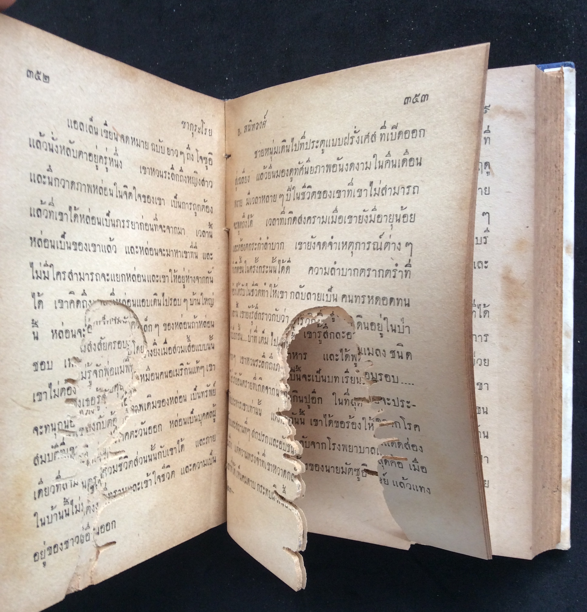 ซากุระโรย/อ.สนิทวงศ์