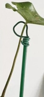 ลวดหุ้มกลม ลวดเคลือบพลาสติกกลม ลวดเคลือบ ลวดมัดต้นไม้ #24/80M สีขาว WT24-001