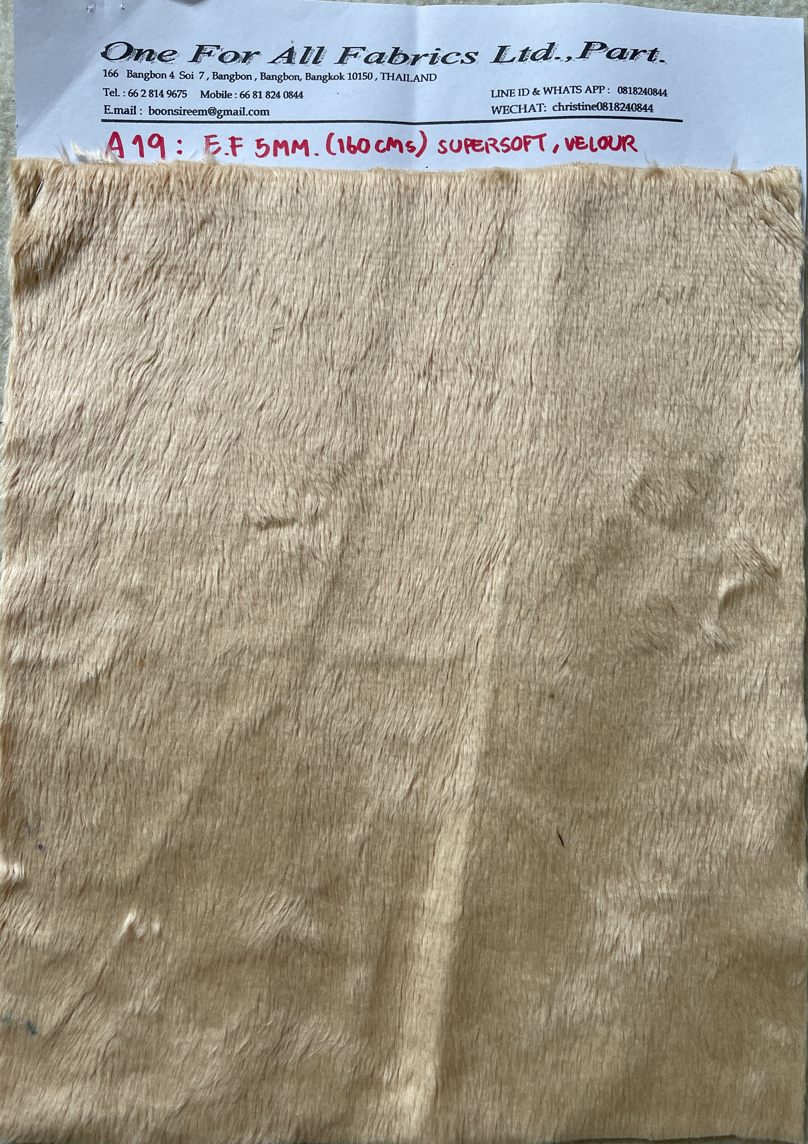 ผ้าขน E.F. หน้าเดียว 5 มม.หนา นุ่ม หน้ากว้าง 62 นิ้ว ผ้าขนนุ่ม ผ้าเวลลัวร์ ผ้าขน supersoft ผ้า baby fleece ผ้ากำมะหยี่นุ่ม ผ้าทำหมอน หมอนรองคอ ผ้าห่มเด็ก ผ้าห่มพรีเมี่ยม ผ้าทำเสื้อคลุม ผ้าทำผิวตุ๊กตหมี าผ้านุ่มนิ่ม ผ้าขนสี ผ้าม้วน