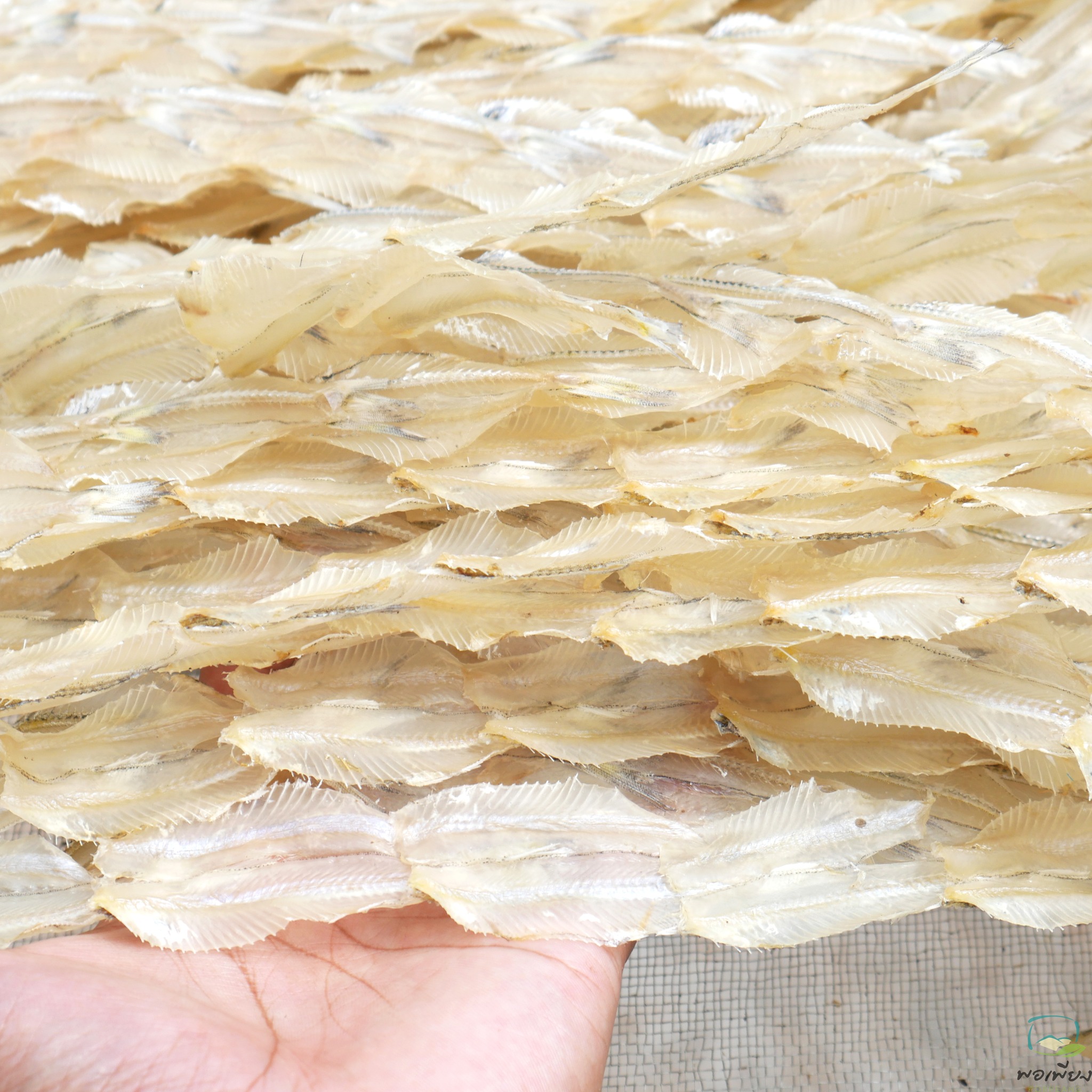 ปลาเกล็ดขาวผ่า ตากแห้ง สั่งทำพิเศษ