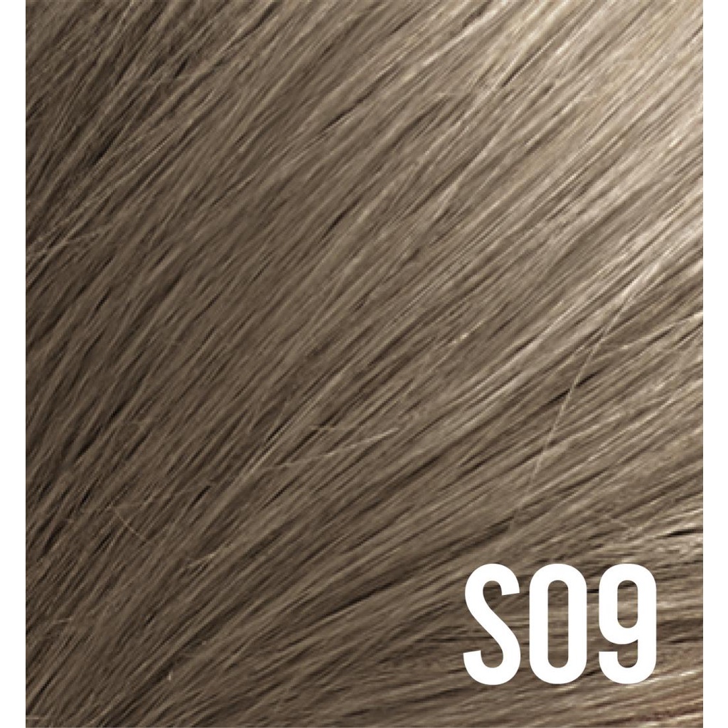DIPSO HAIR COLOR #S09 Special Light silver Blond ยาย้อมผม ติ๊พโซ่ แฮร์ คัลเลอร์ S09 สีบลอนด์อ่อนพิเศษประกายเงิน ขนาด 110 กรัม