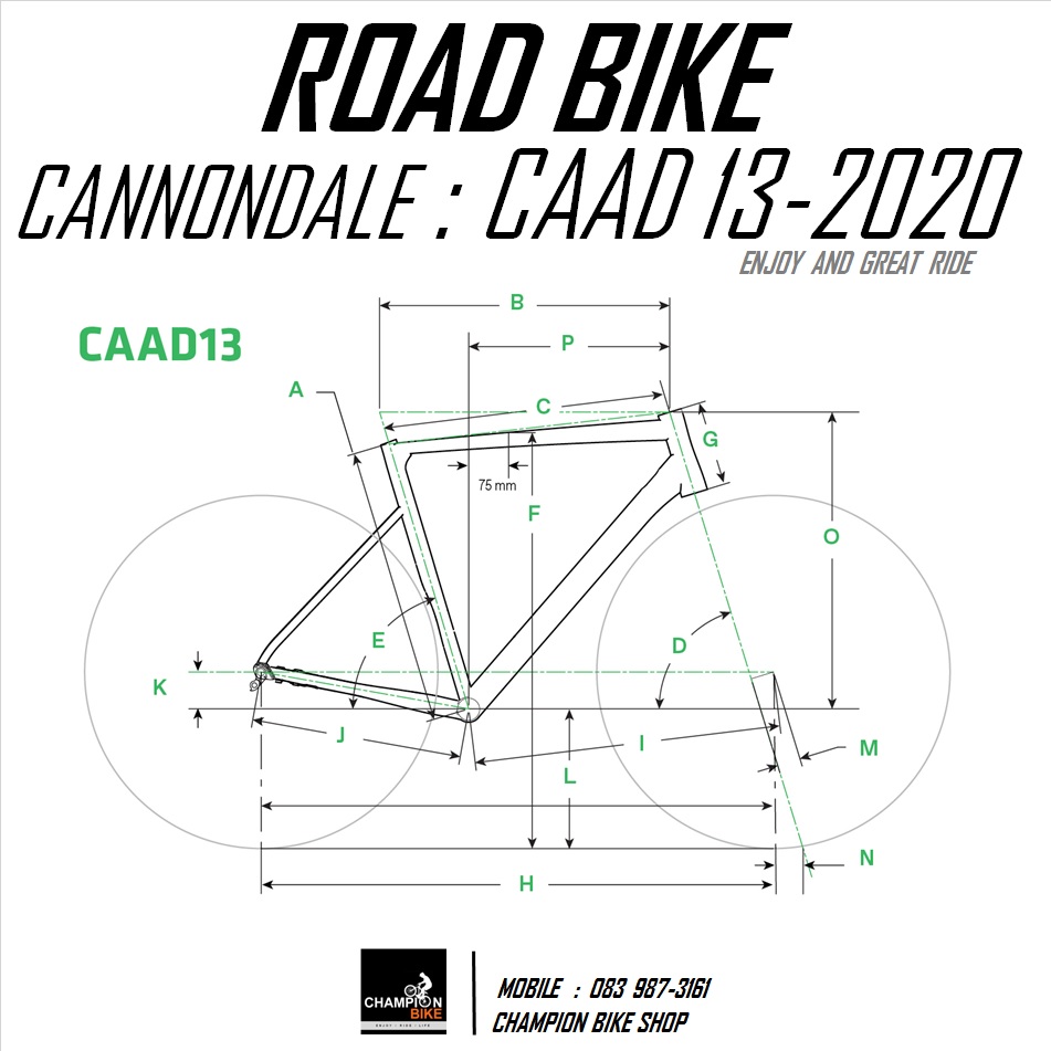 จักรยานเสือหมอบแคนนอนเดล CANNONDALE : CAAD 13 - 2020 ROAD BIKE