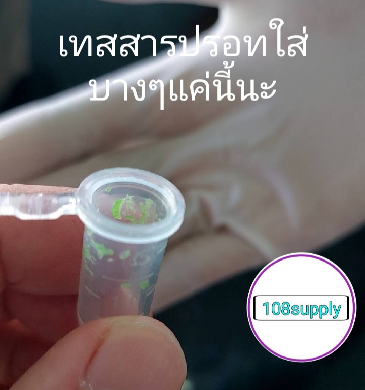 ชุดตรวจสารปรอทในเครื่องสำอาง(โลชั่นและครีม) ขนาด 50 ทดสอบ