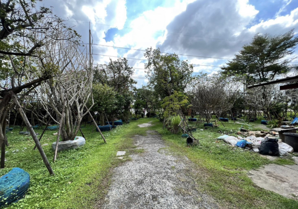 ขายที่ดินเปล่า คลอง 8 ซอย ถนนรังสิต-นครนายก ลำผักกูด ธัญบุรี ปทุมธานี 12110