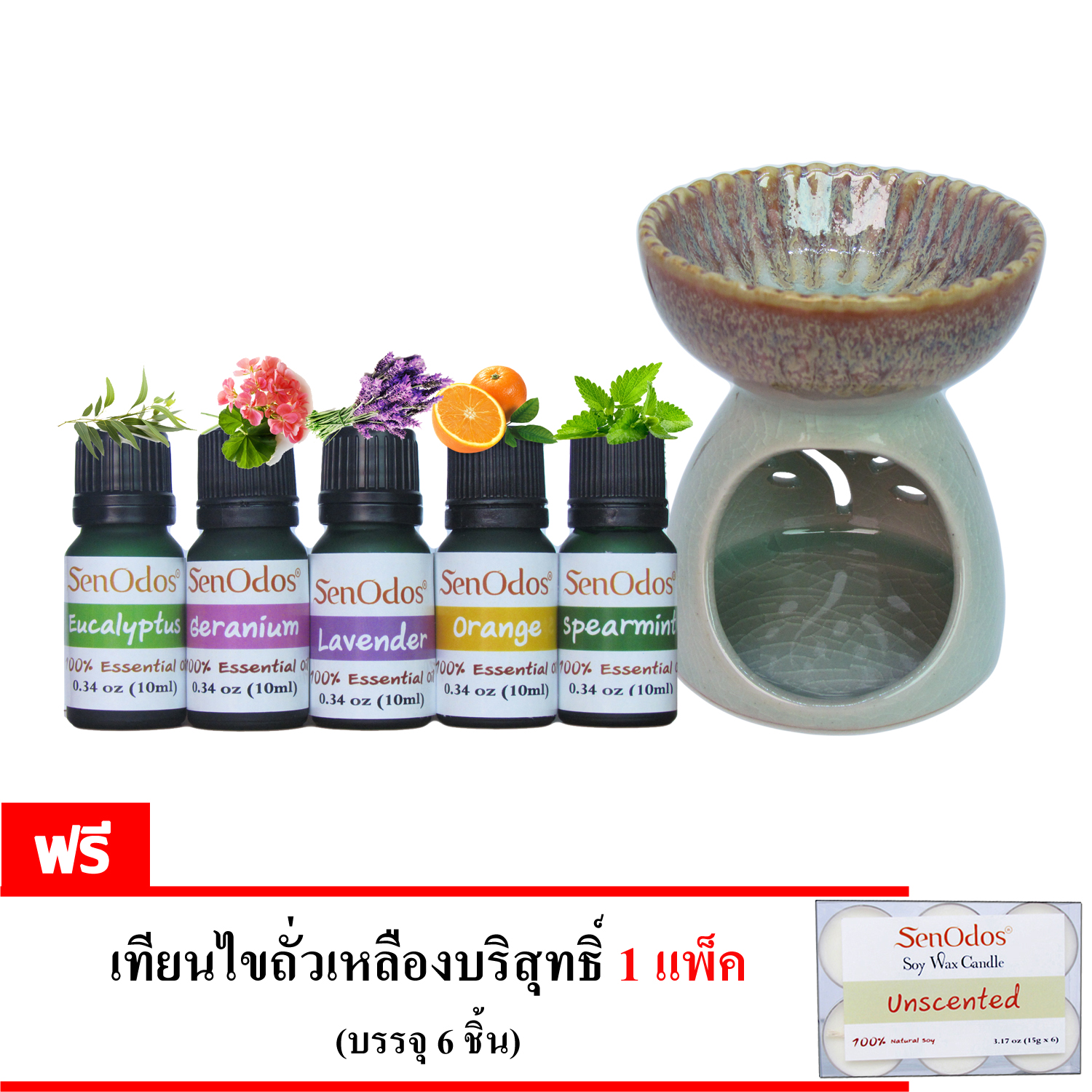 SenOdos ชุดเตาเผา น้ำมันหอม อโรม่า ชุดกลิ่นสำหรับสัตว์เลี้ยง Essential Oil For Pet Set 10 ml x 5 กลิ่น (กลิ่นยูคาลิปตัส, กลิ่นเจอร์เรเนี่ยม, กลิ่นลาเวนเดอร์, กลิ่นส้ม, กลิ่นสเปียร์มิ้นต์)