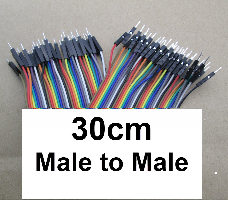 (30cm) 40 pin to 40 pin (Male-Male) 2.54mm