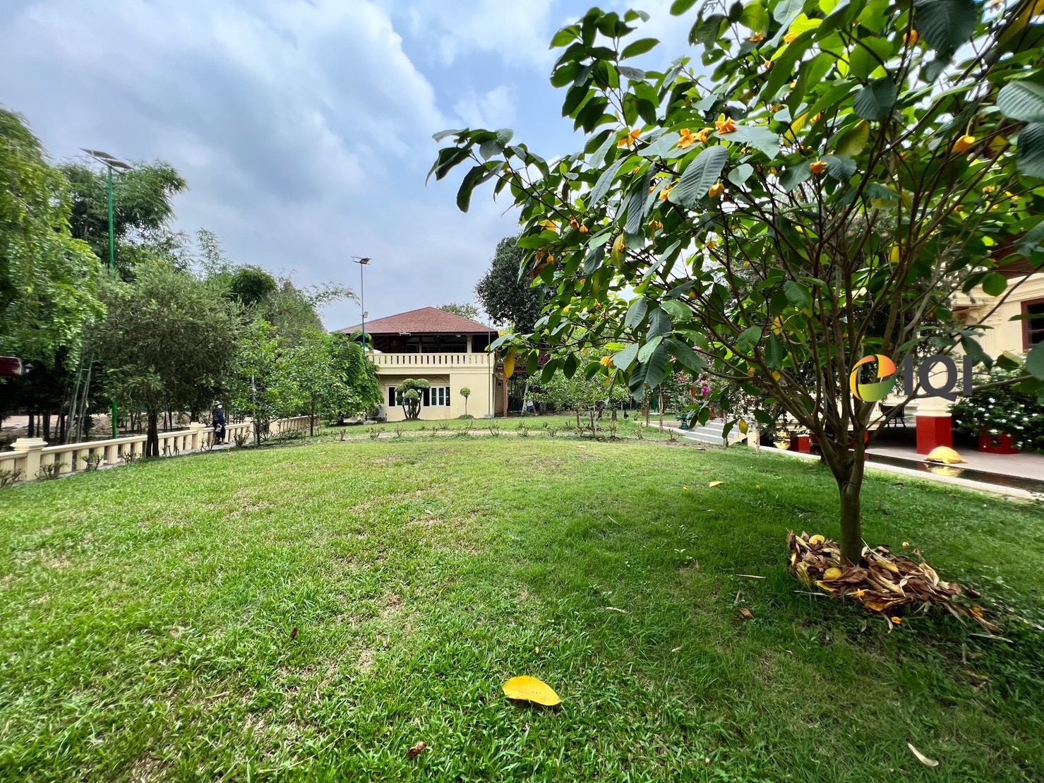 ขาย ที่ดินพร้อมสิ่งปลูกสร้าง บ้านเดี่ยว 3 ชั้น ต.ปากน้ำ อ.บางคล้า ผังเมืองสีเขียวอ่อน