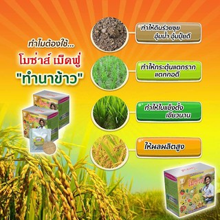 โมซ่าส์ อะมิโนจำเป็น ชนิดเม็ดฟู่