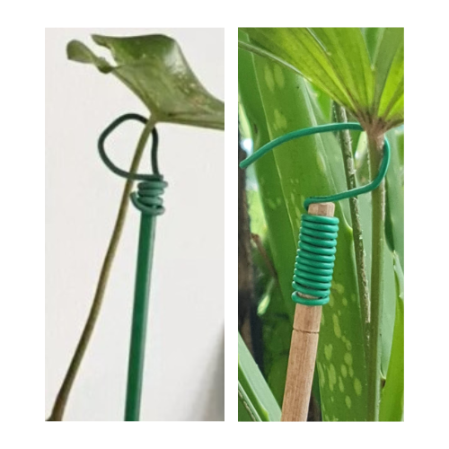 ลวดมัดต้นไม้ ลวดผูกต้นไม้ ลวดขึงสแลน ลวดเพาะชำ ลวดผูกป้าย ลวดบอนไซ ลวดคล้องป้าย ลวดมัดงานเกษตร ลวดลวดมัดสแลน หุ้มแบบกลม-บจก.พลาสติกแอนด์ไวร์โปรดัก SKU-00118