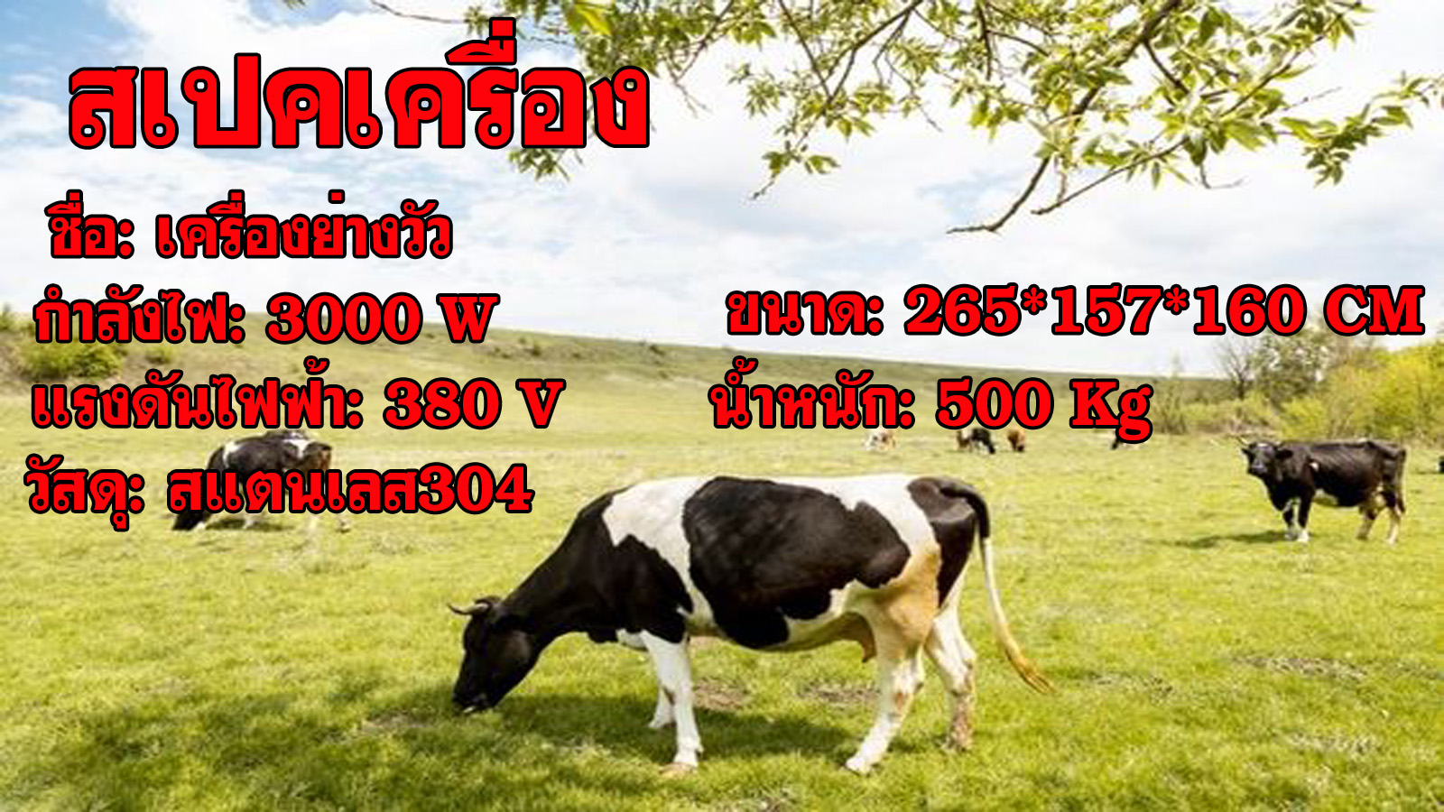เตาหมูหัน