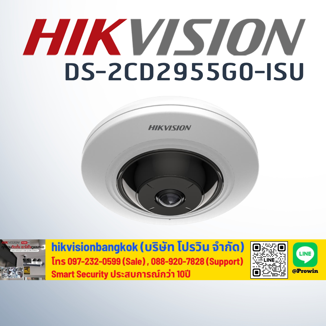 HIKVISION DS-2CD2955G0-ISU