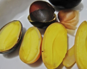 #ต้นเกาลัดไทย ต้นทาบ รสชาดหวานมันอร่อย