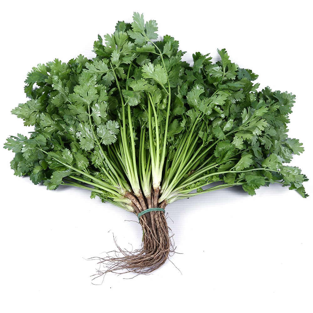 ผักชีไทย ออแกนิค บรรจุ 200 กรัม