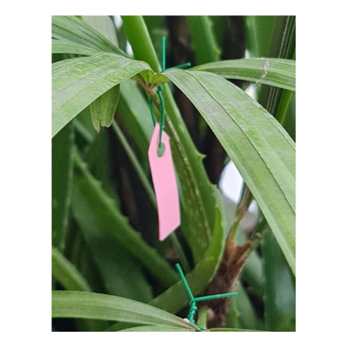 ลวดมัดต้นไม้ ลวดผูกต้นไม้ ลวดขึงสแลน ลวดเพาะชำ ลวดผูกป้าย ลวดบอนไซ ลวดคล้องป้าย ลวดมัดงานเกษตร ลวดลวดมัดสแลน หุ้มแบบกลม-บจก.พลาสติกแอนด์ไวร์โปรดัก SKU-00118