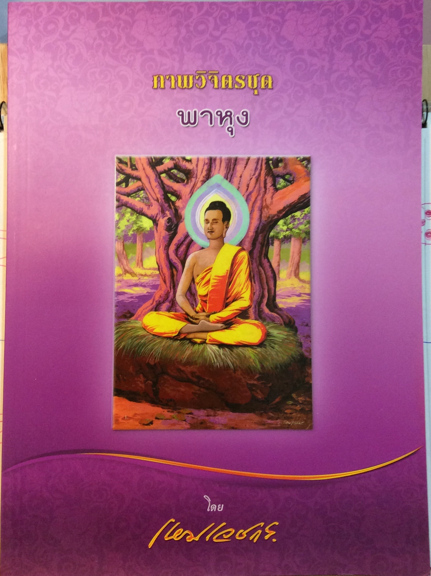 ภาพวิจิตร ชุดภาหุง เหมเวชกร