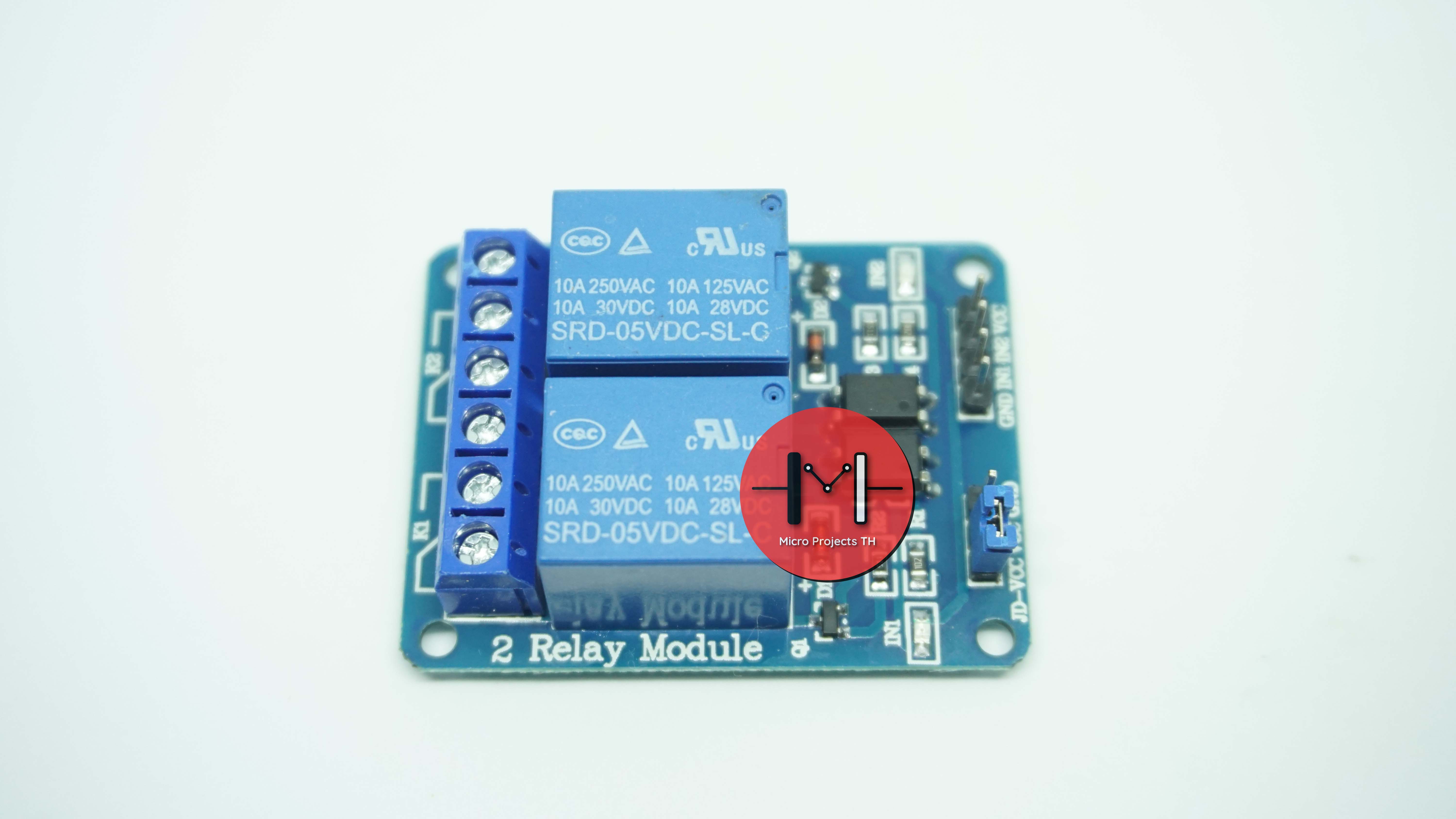 Module Relay 2 Channel 5V 250V/10A