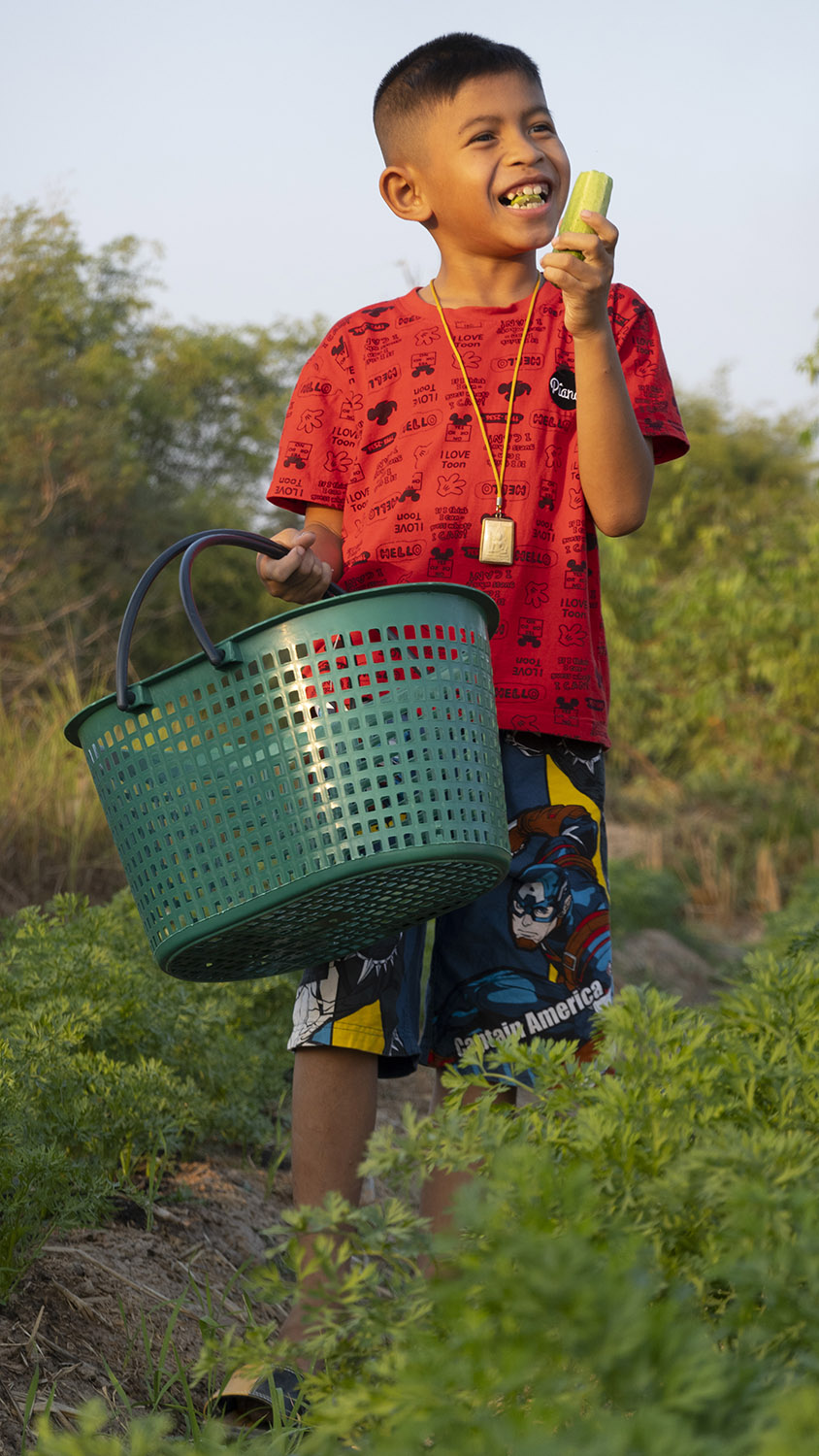 แตงกวาอินทรีย์ 1 กก.