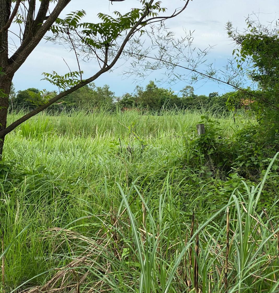 ขายที่ดินเปล่า ถ.สายห้วยคู ซ. 6 ต.ตะเคียนเตี้ย อ.บางละมุง จ.ชลบุรี