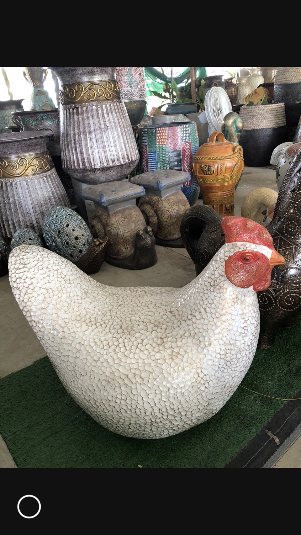 เก้าอี้ไก่