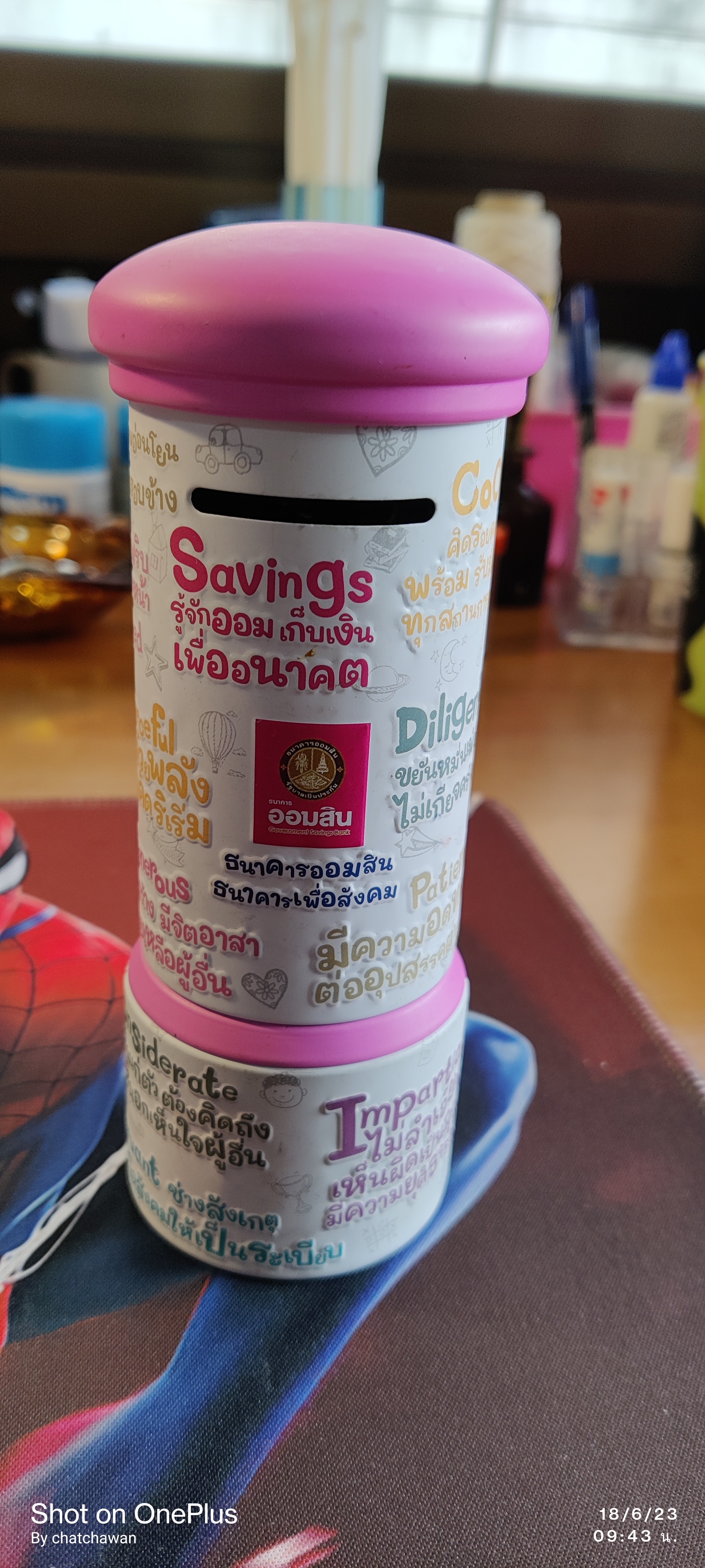 ออมสินเก็บเงินเพื่ออนาคต