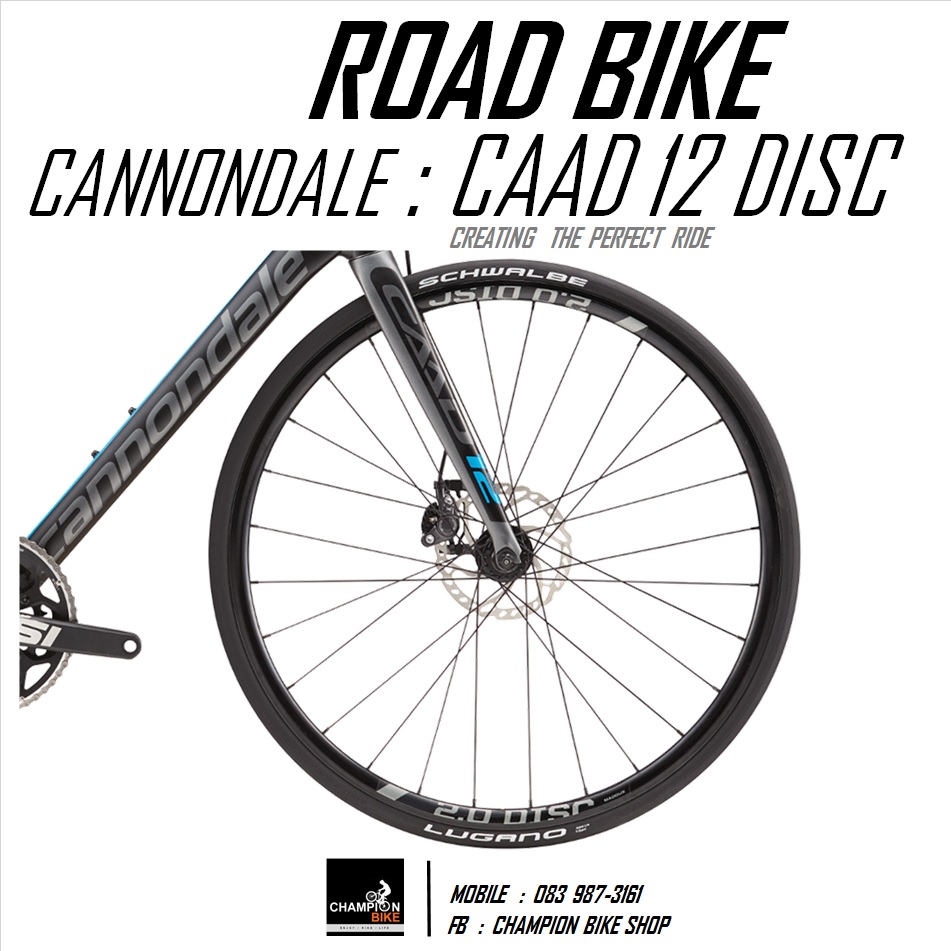 จักรยานเสือหมอบ CANNONDALE : CAAD12 DISC - 2016 ROAD BIKE