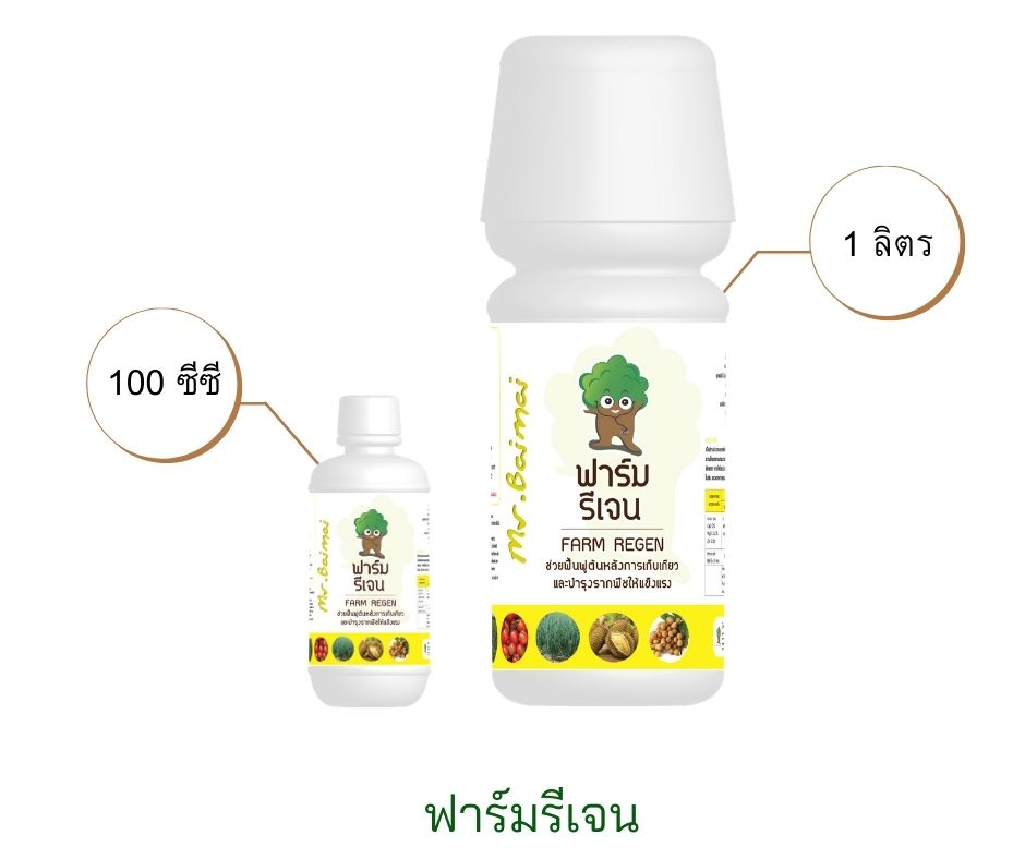 ฟาร์มรีเจน