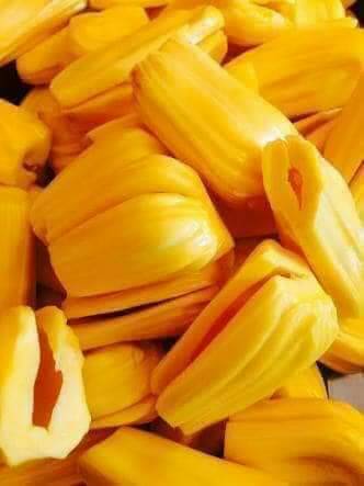 ต้นขนุนทองส้ม