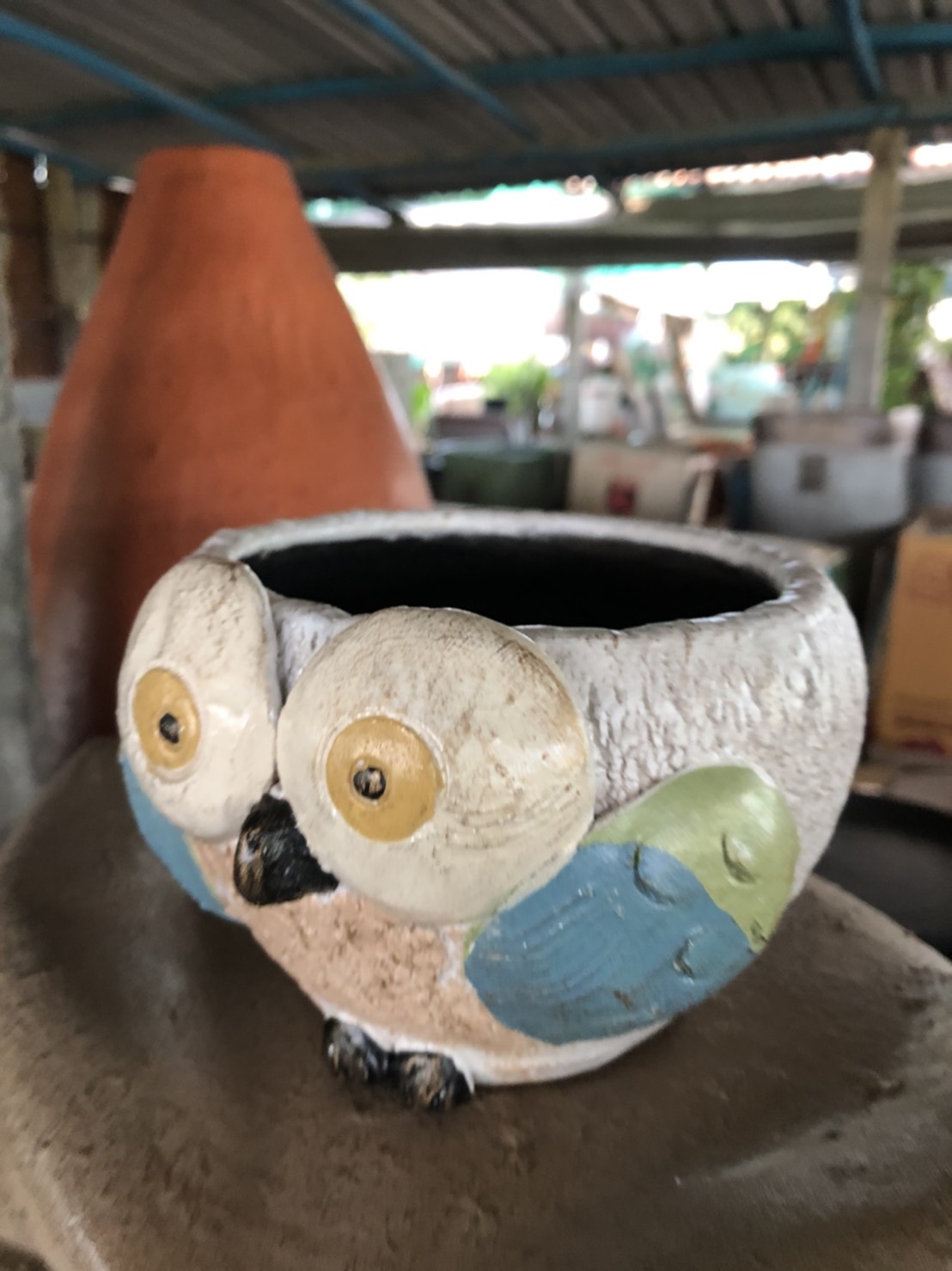 กระถางแคนตัส แฮนอม