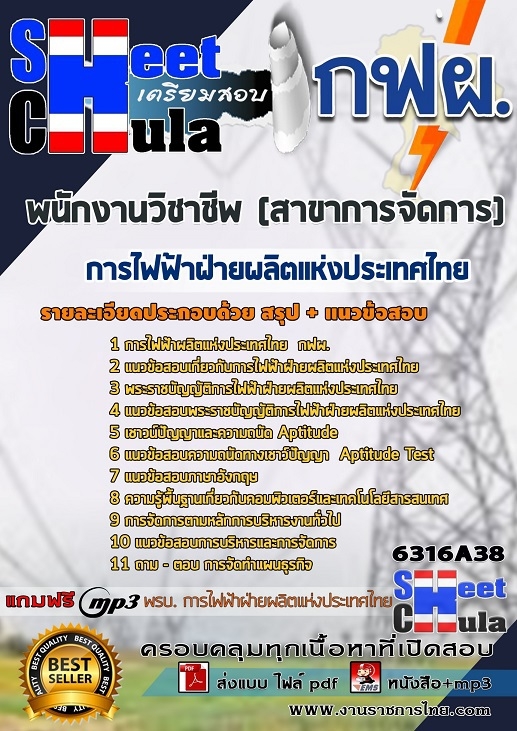 เเนวข้อสอบพนักงานวิชาชีพ (สาขาการจัดการ) การไฟฟ้าฝ่ายผลิตแห่งประเทศไทย (กฟผ) 2563