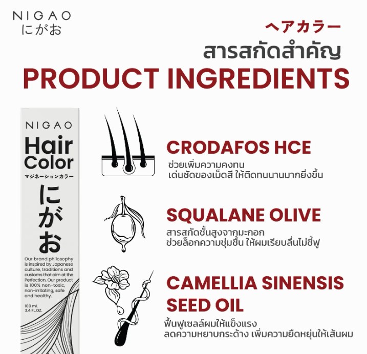 Nigao Hair Color 100 ml. #C4 Chocolate นิกาโอะ ครีมย้อมผมปราศจากแอมโมเนีย C4-สีช็อกโกแลต 100 มล. (ไม่แถมไฮโดรเจน)