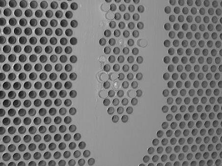 Epigen FC-1 Fast Cure Adhesive & Patch อีพ็อกซี่แห้งไว ทนสารเคมีรุนแรง