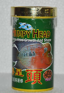 XO Humpy Head อาหารเร่งโหนกปลาหมอสี (medium)