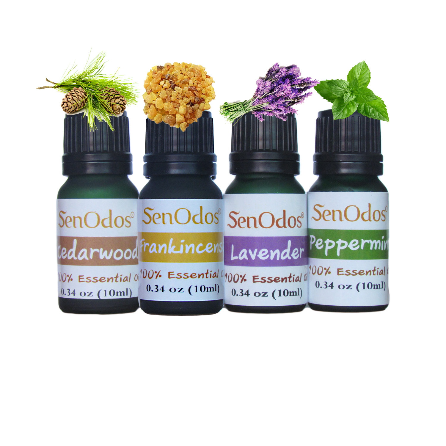 SenOdos ชุดเตาเผา น้ำมันหอม อโรม่า ชุดกลิ่นสำหรับเด็ก Essential Oil For Children Set 10 ml x 4 กลิ่น (กลิ่นซีด้าร์วูด, กลิ่นกำยาน, กลิ่นลาเวนเดอร์, กลิ่นเปปเปอร์มิ้นต์)