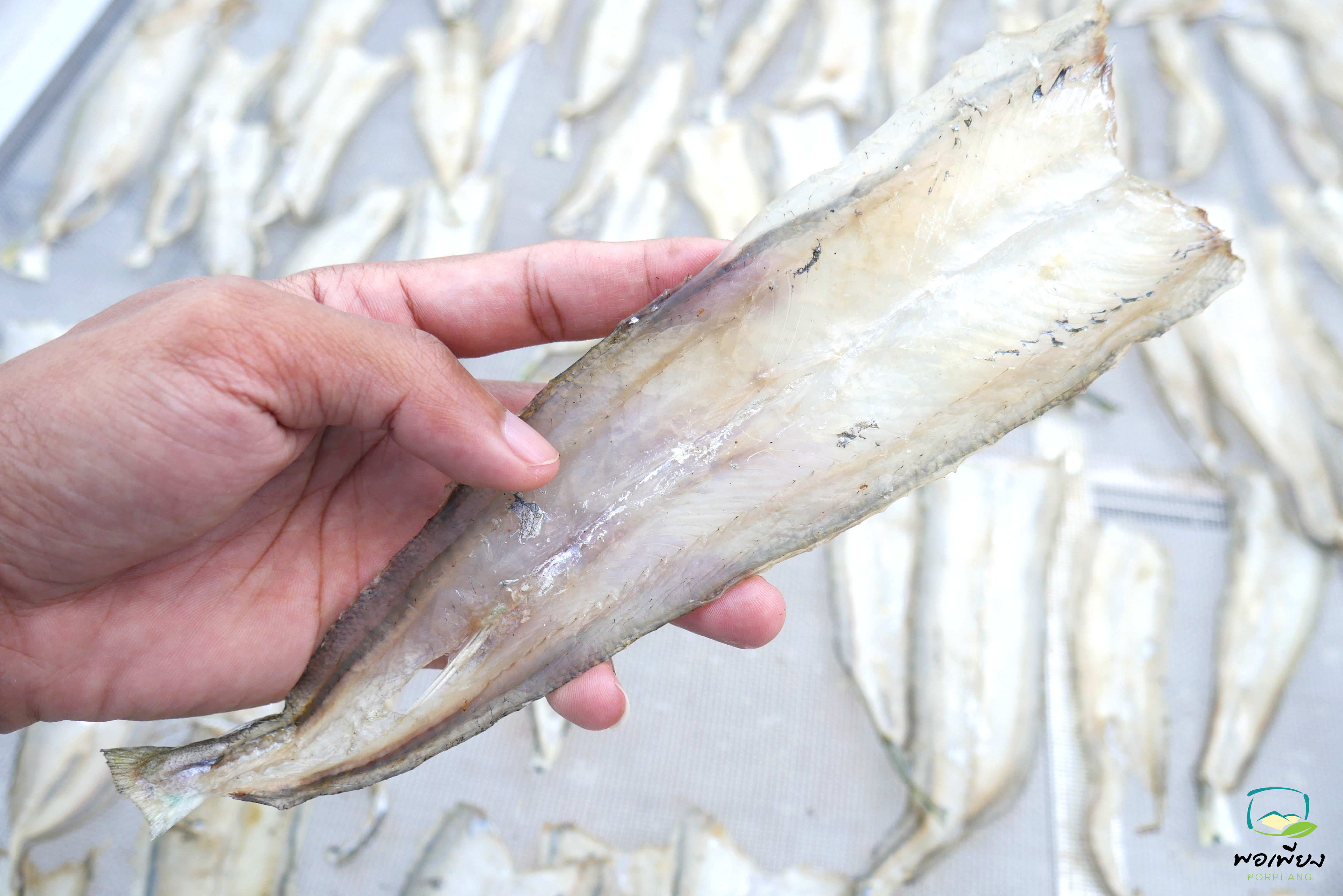 ปลาโทงเลาะก้าง