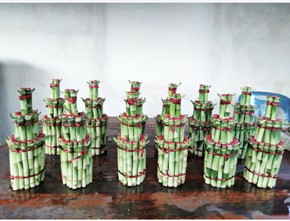 ลวดสี ลวดมัดปากถุง ริบบิ้นลวด ลวดมัดปากถุงเบเกอรี่ ลวดมัดปากถุงขนม ลวดเบเกอรี่ ริบบิ้นลวด ลวดมัดสินค้า ลวดงานฝีมือ ลวดพลาสติก ลวดหุ้มพลาสติก ลวดเคลือบพลาสติก W1000M-008