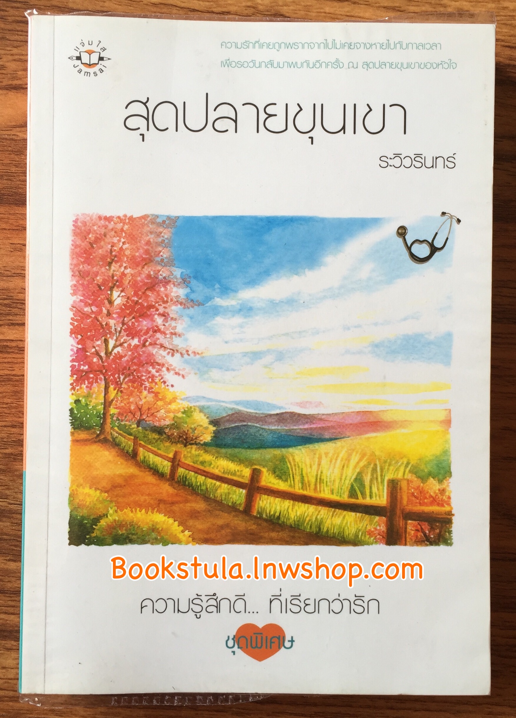 สุดปลายขุนเขา / ระวิวรินทร์ **หายาก**