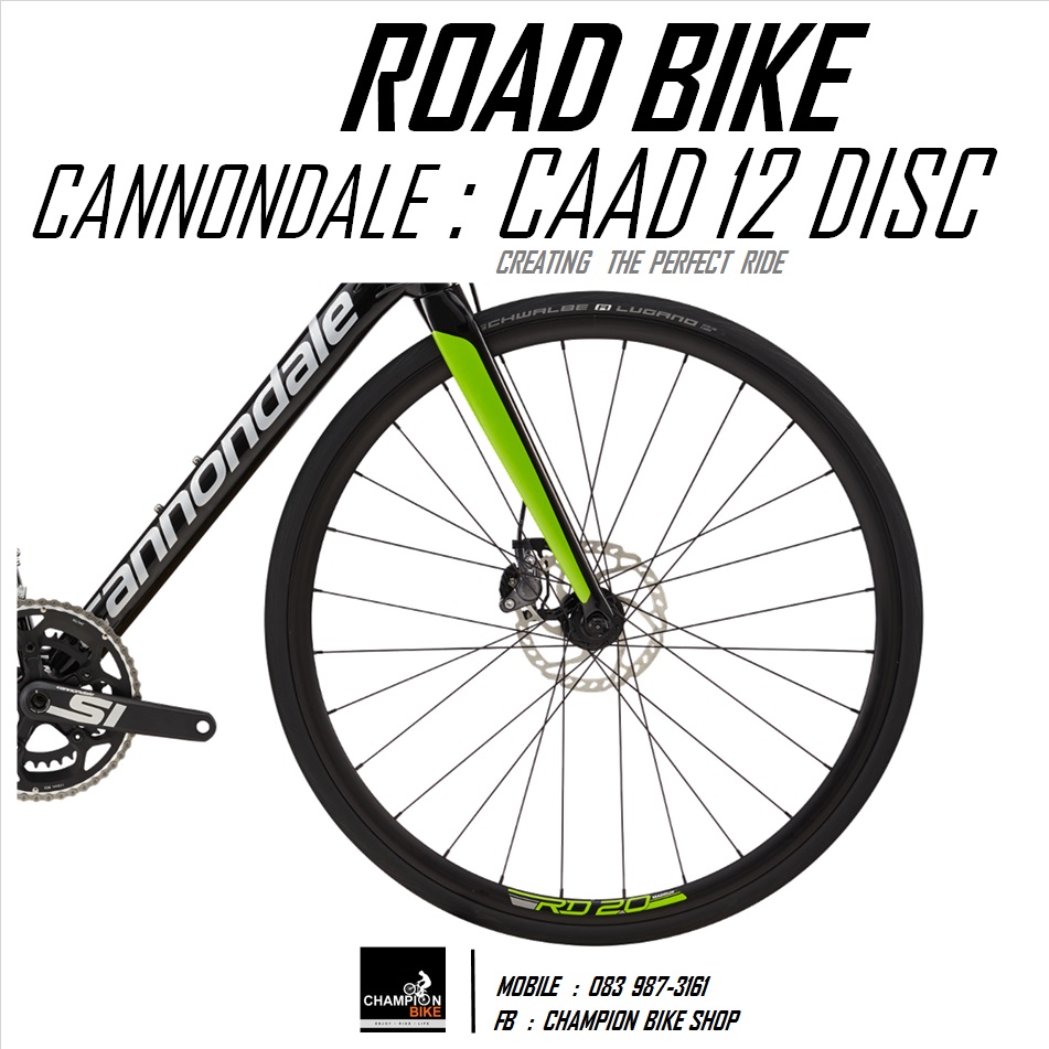 จักรยานเสือหมอบ CANNONDALE : CAAD12 DISC - 2017 ROAD BIKE