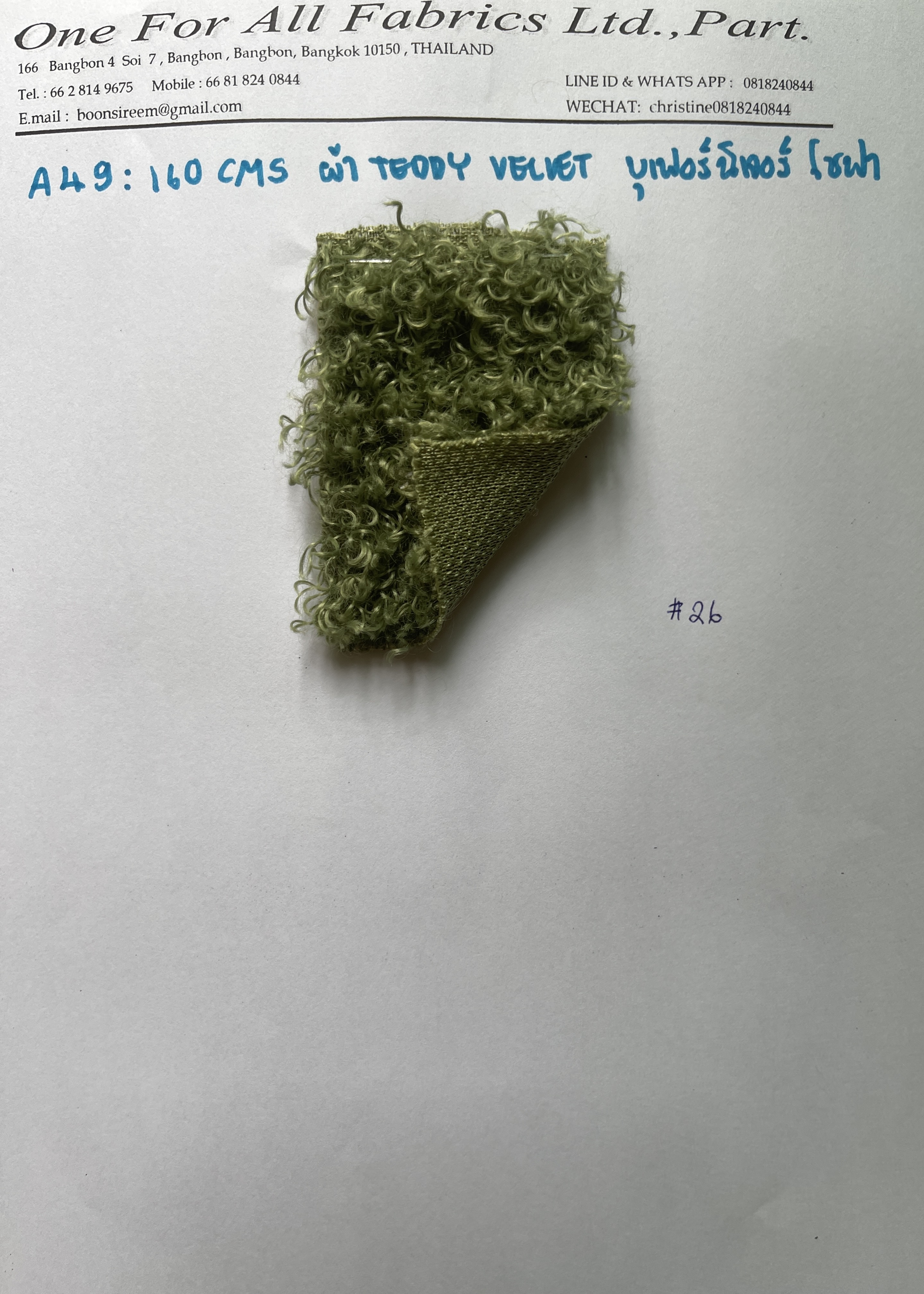 A49T teddy Velvet ผ้าขนหมีเทดดี้ เส้นเกลียว ขนหยิกเเม็ดใหญ่ Sheep ผ้าบุเฟอร์นิเจอร์ ผ้าหุ้มโซฟา ผ้าขนตกแต่งห้อง ผ้าทำกระเป๋า ผ้าขนทำเสื้อหนาว ผ้าคลุุม ผ้าแฟนซี หน้ากว้าง 1ึ60 ซม ตกแต่งคอนโด ผ้าขนทำตุ๊กตา ผ้าขนงานพรีเมี่ยม