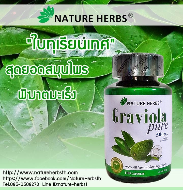 ใบทุเรียนเทศ 100% ชนิดแคปซูล 2 กระปุก แถม ชาใบทุเรียนเทศ ขนาด 5 ซอง 1 ห่อ