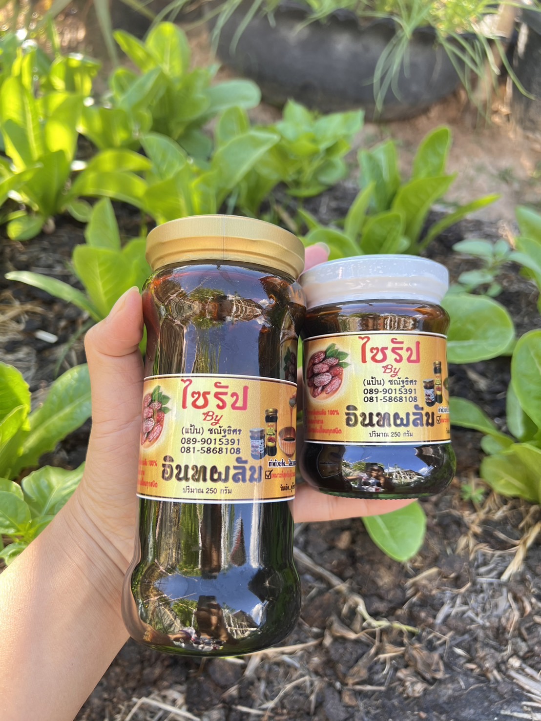 อินทผาลัมไซรัป (ขวดใหญ่500กรัม) *ไม่มีน้ำตาล