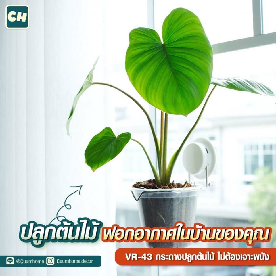 VR-43 กระถางต้นไม้ ไม่ต้องเจาะผนัง